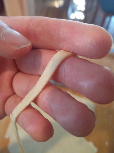 Hand holding up a strand of pasta.